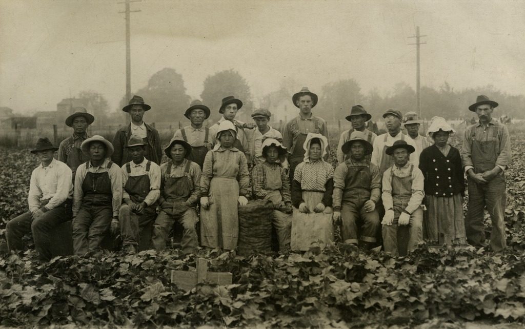 america american asian before essay history in internment japanese prewar america american asian before essay history in internment japanese prewar