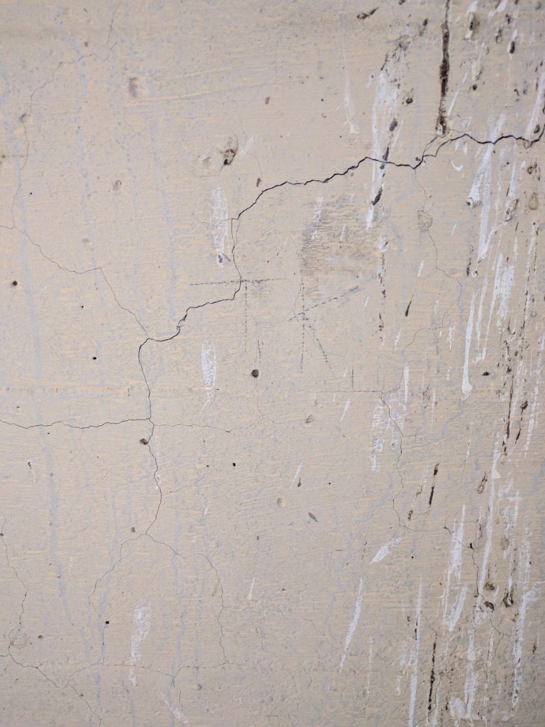 An old, cracked wall at Tule Lake inscribed with the letters "TK."