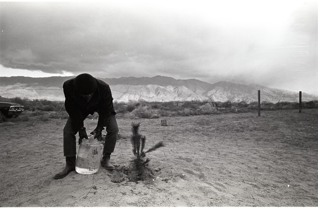A man watering a small tree at Manzanar. He is bent over a large water jug and a mountain range and dramatic clouds are in the distant background behind him.