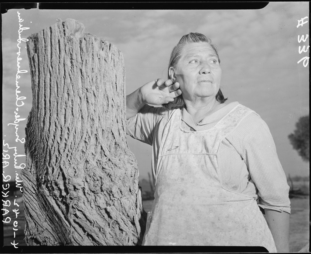 A Chemehuevi woman on the Colorado River Indian Reservation. She is wearing a flowered apron over a dress, and leaning against a large tree stump.