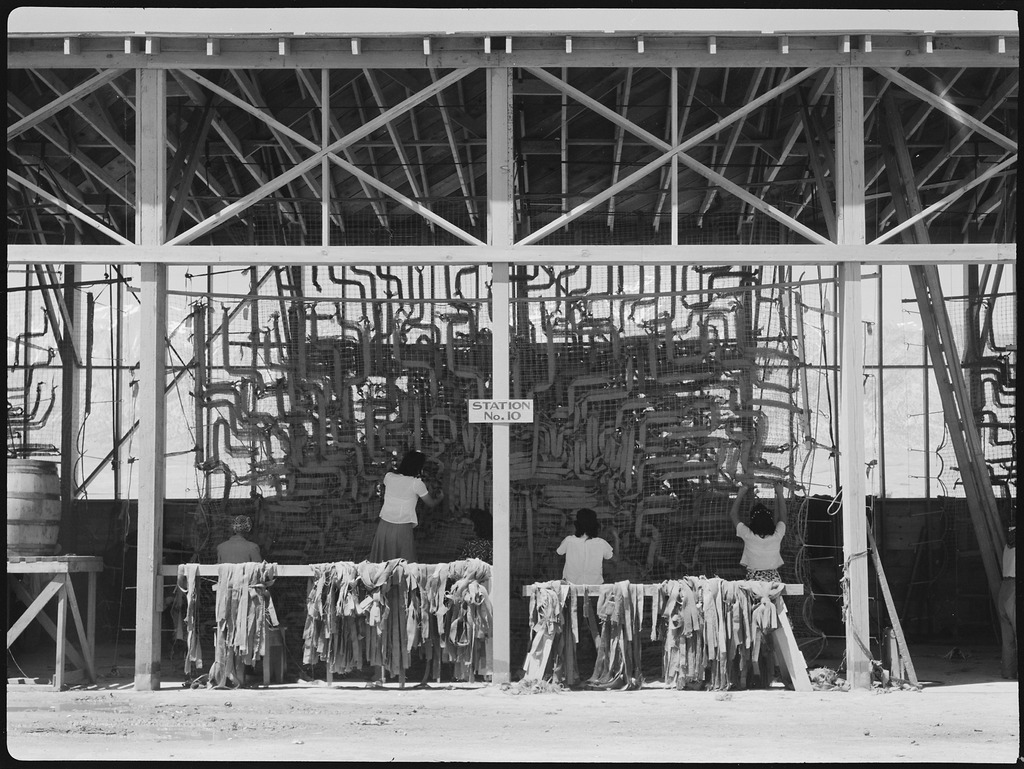 Japanese American women working in a camouflage net factory inside Manzanar. They have their backs to the camera and are weaving strips of fabric into a large net.